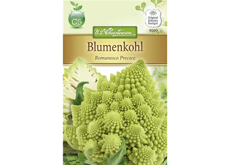 Romanescosamen 'Precoce'