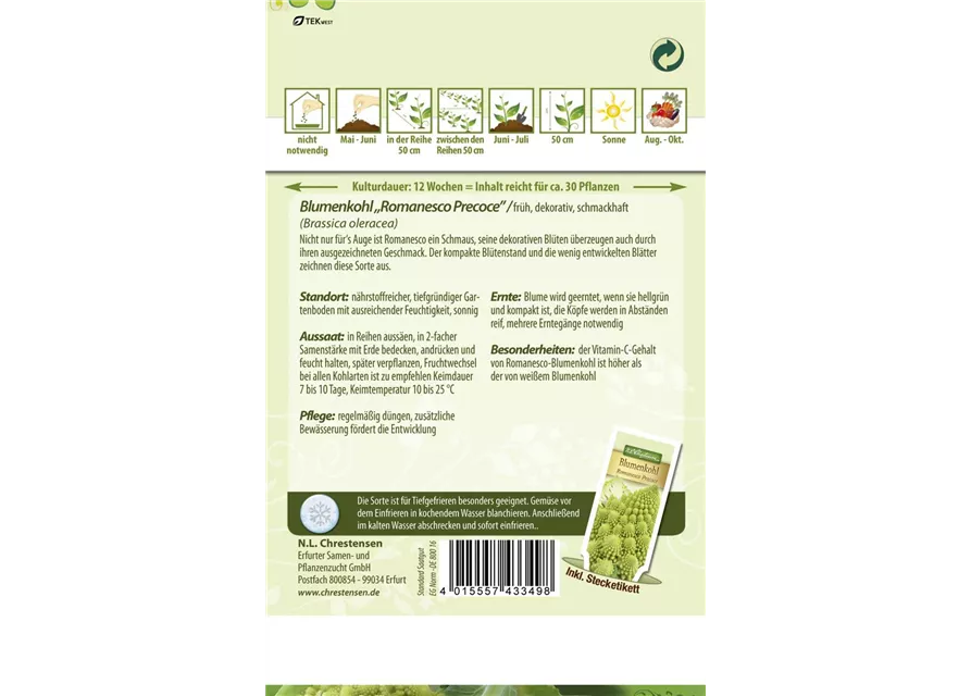 Romanescosamen 'Precoce'