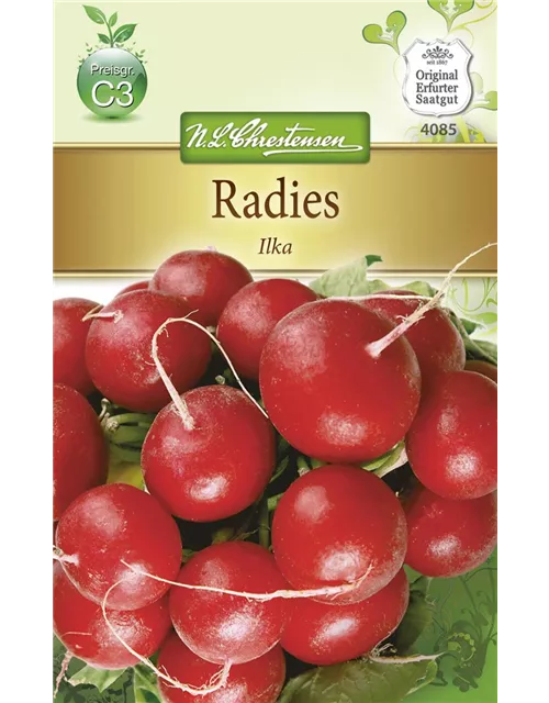 Radieschensamen 'Ilka'