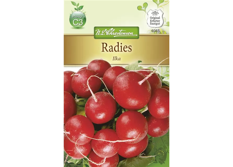 Radieschensamen 'Ilka'