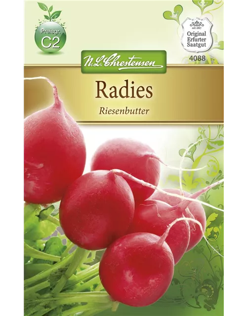 Radieschensamen 'Riesenbutter'