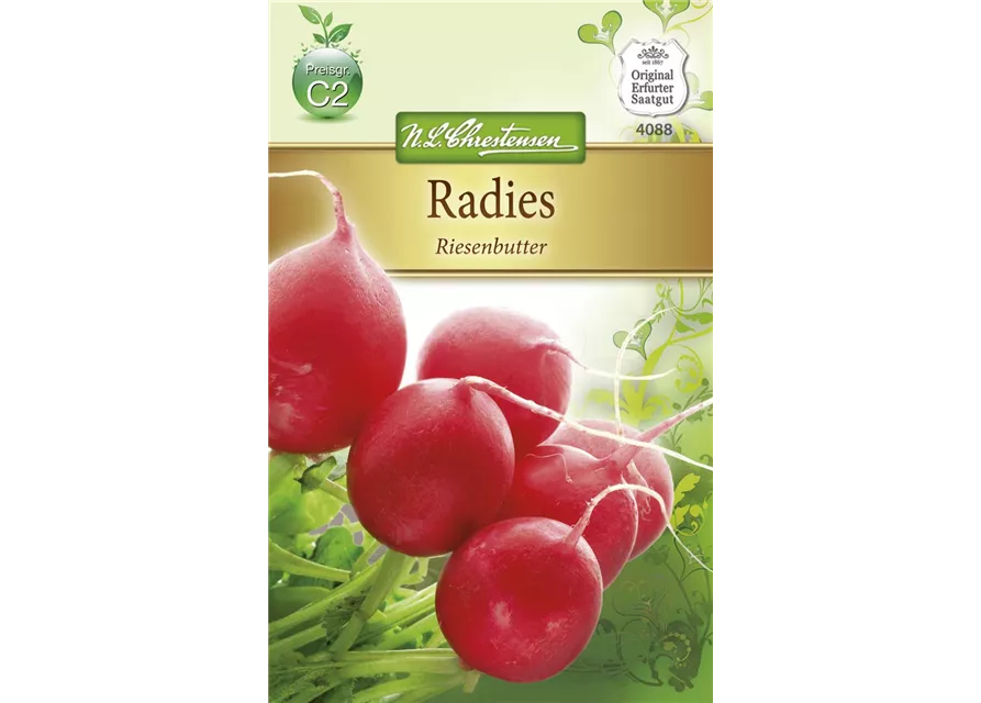 Radieschensamen 'Riesenbutter'
