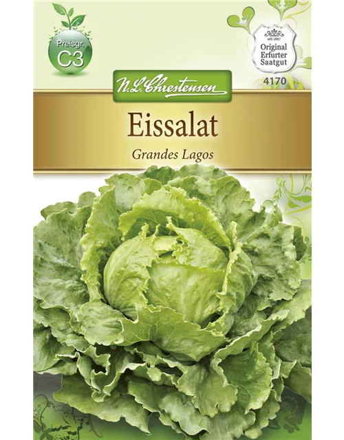 Salatsamen 'Grandes Lagos'