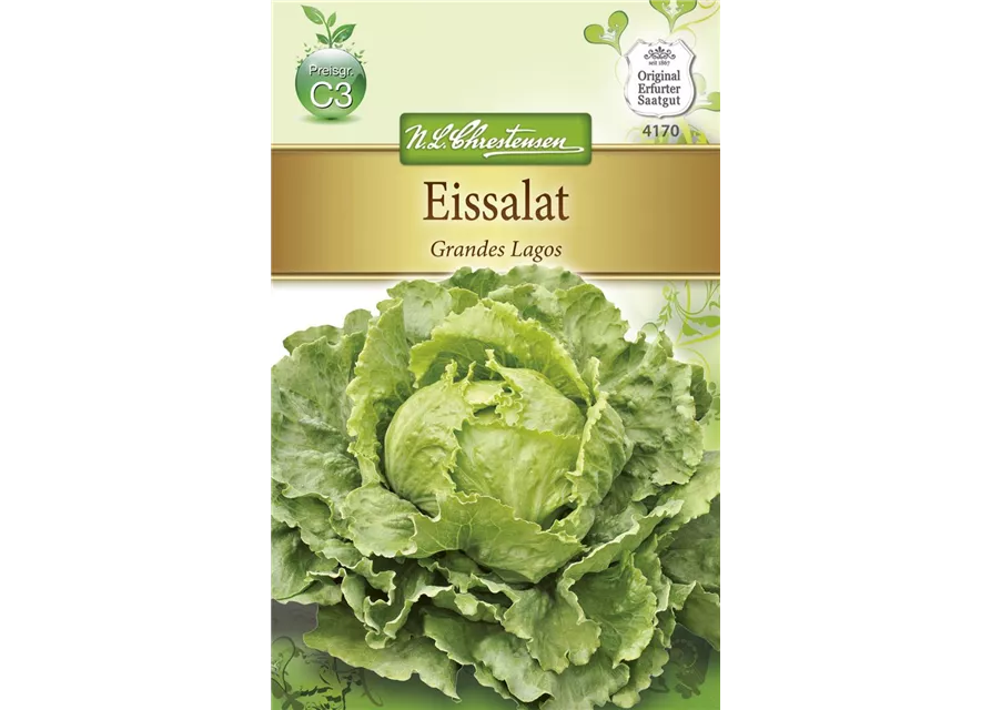 Salatsamen 'Grandes Lagos'