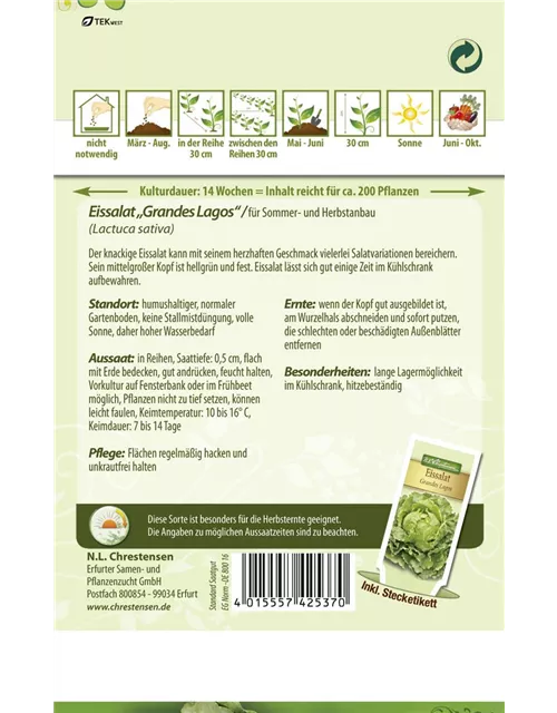 Salatsamen 'Grandes Lagos'