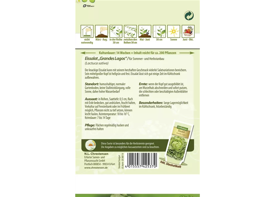 Salatsamen 'Grandes Lagos'