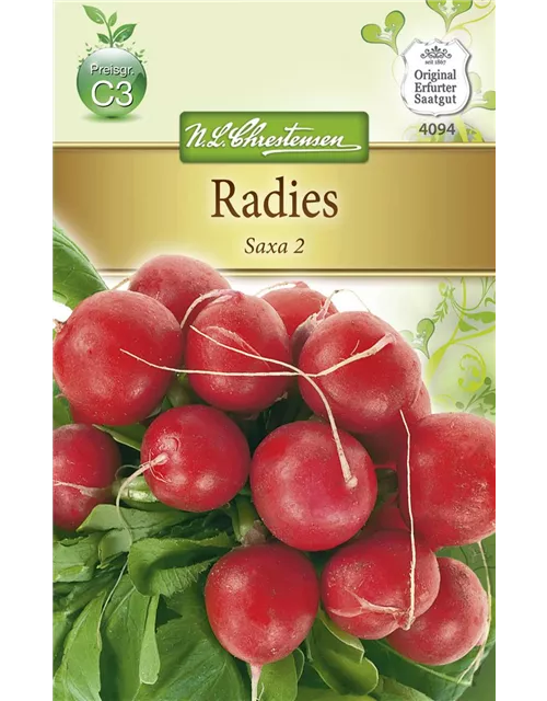 Radieschensamen 'Saxa 2'