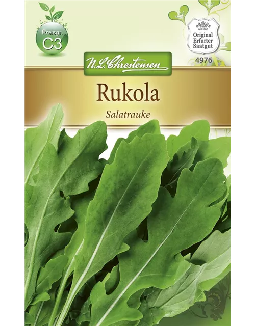 Rucolasamen