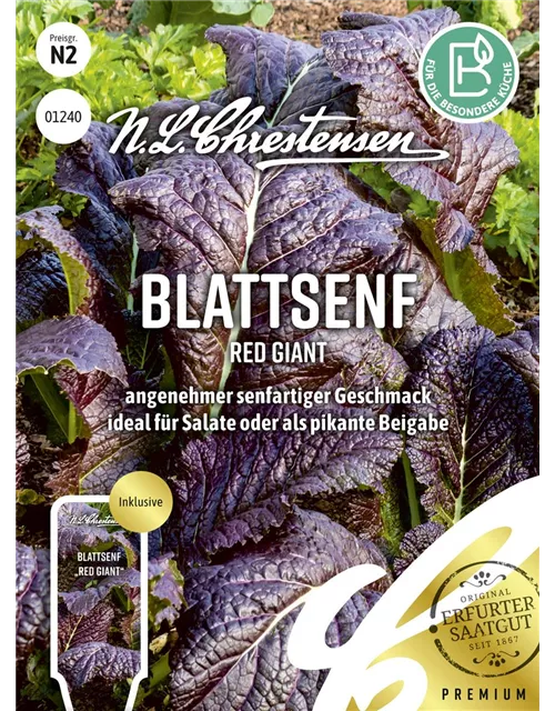 Roter Blattsenf-Samen
