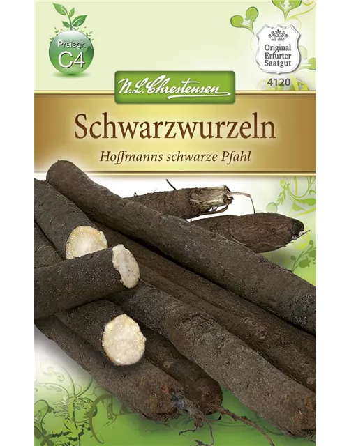 Schwarzwurzelsamen 'Hoffmanns schwarze Pfahl'
