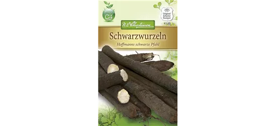 Schwarzwurzelsamen 'Hoffmanns schwarze Pfahl'