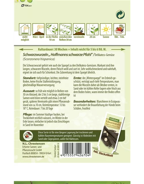 Schwarzwurzelsamen 'Hoffmanns schwarze Pfahl'