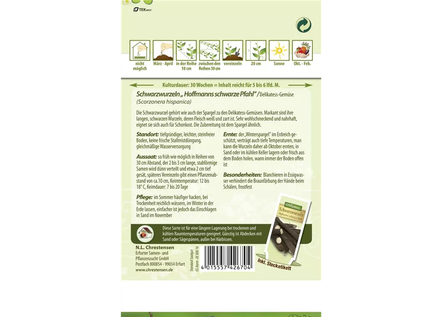 Schwarzwurzelsamen 'Hoffmanns schwarze Pfahl'