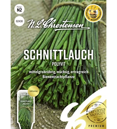 Schnittlauchsamen 'Polyvit'