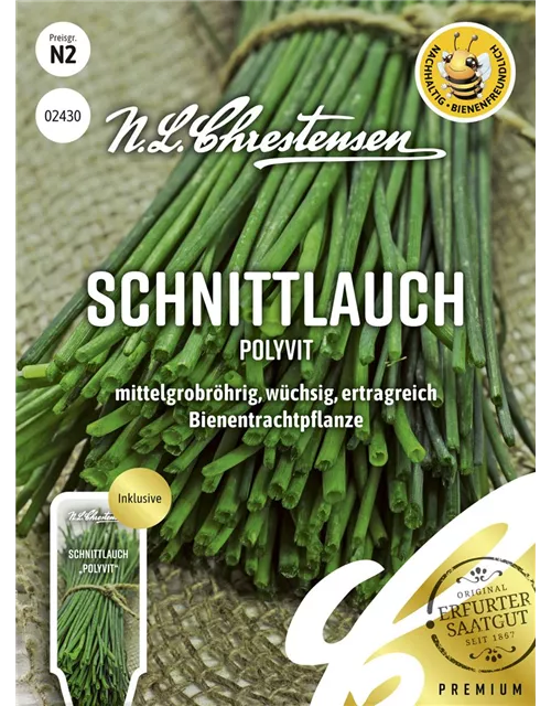 Schnittlauchsamen 'Polyvit'