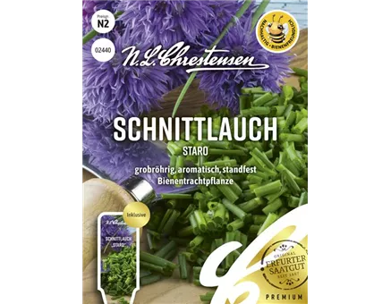 Schnittlauchsamen 'Staro'