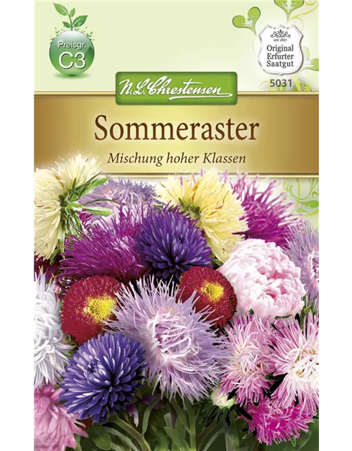Sommerastersamen 'Mischung hoher Klassen'