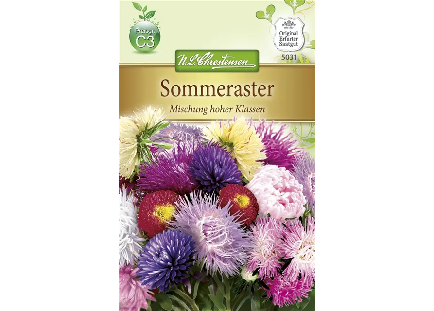 Sommerastersamen 'Mischung hoher Klassen'
