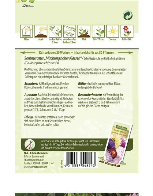 Sommerastersamen 'Mischung hoher Klassen'