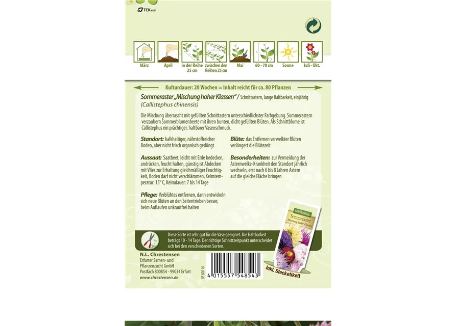 Sommerastersamen 'Mischung hoher Klassen'