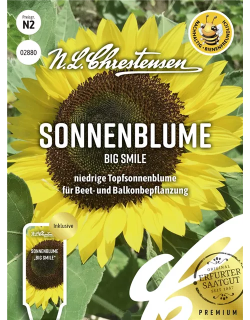 Sonnenblumensamen 'Big Smile'