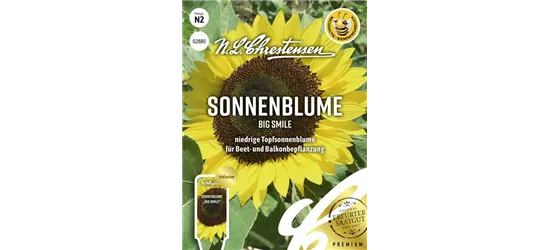 Sonnenblumensamen 'Big Smile'