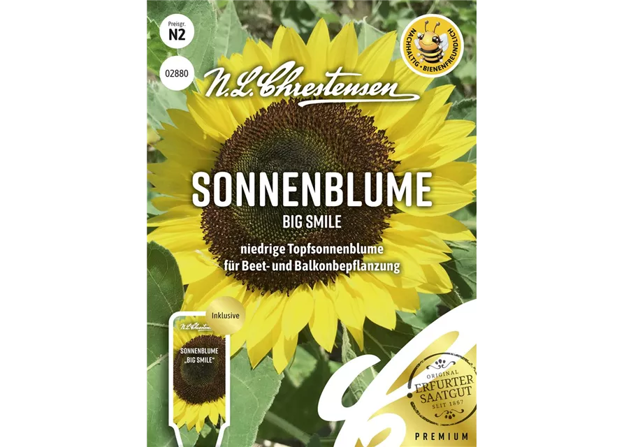 Sonnenblumensamen 'Big Smile'