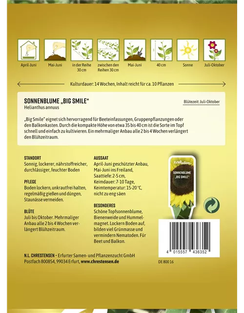 Sonnenblumensamen 'Big Smile'