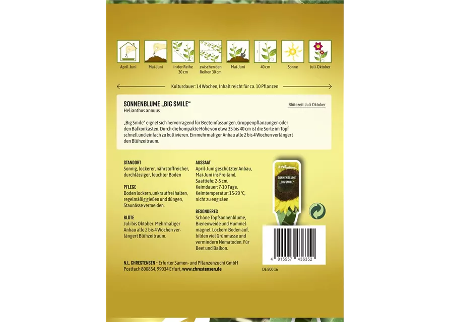 Sonnenblumensamen 'Big Smile'