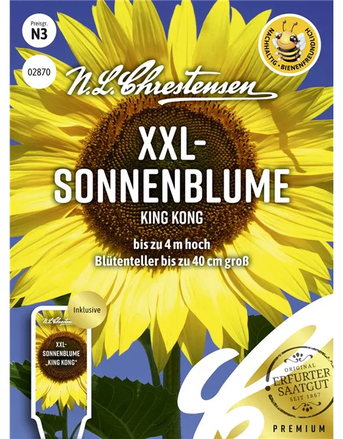 Sonnenblumensamen 'King Kong'