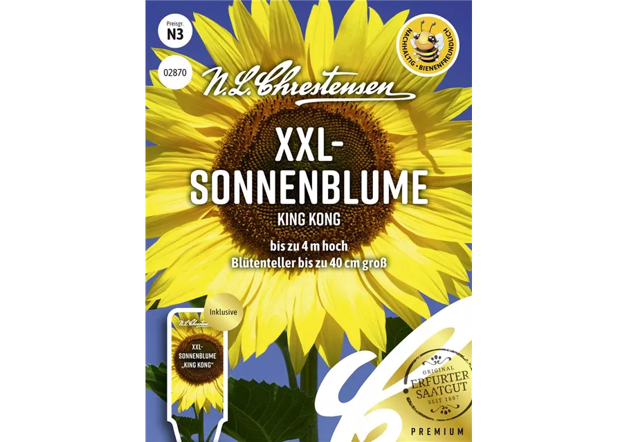 Sonnenblumensamen 'King Kong'