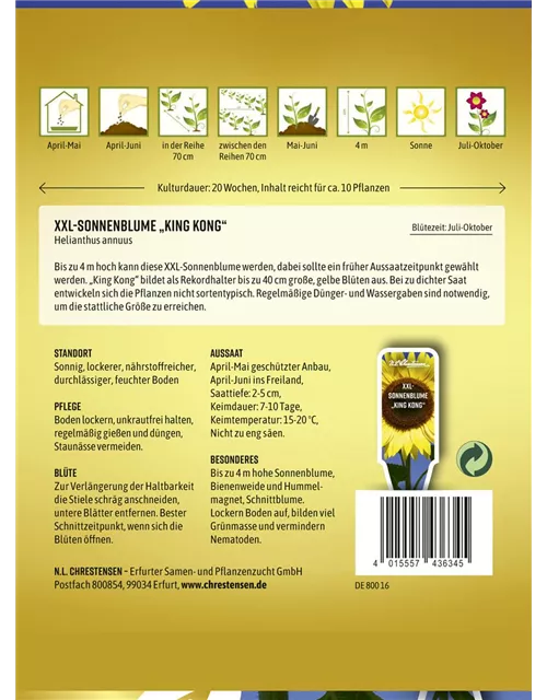 Sonnenblumensamen 'King Kong'