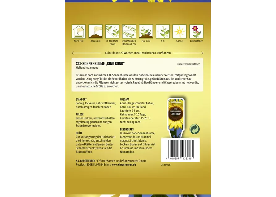 Sonnenblumensamen 'King Kong'