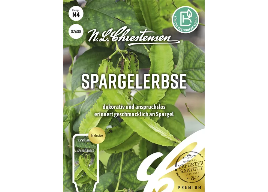 Spargelerbsensamen