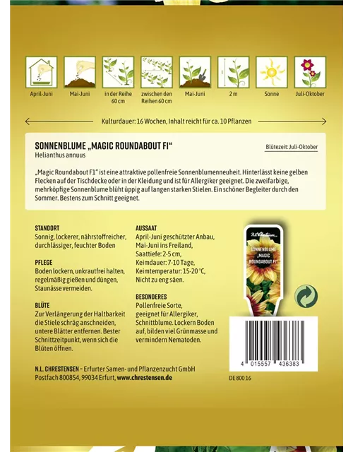 Sonnenblumensamen 'Magic Roundabout F1'
