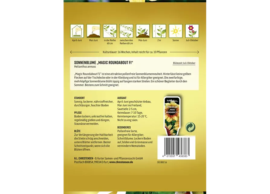 Sonnenblumensamen 'Magic Roundabout F1'