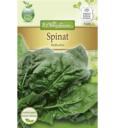 Spinatsamen 'Industra'