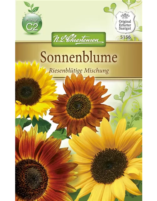 Sonnenblumensamen 'Riesenblumige'