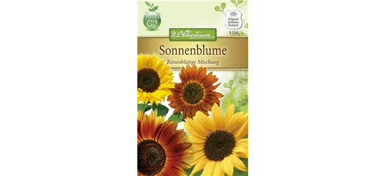 Sonnenblumensamen 'Riesenblumige'