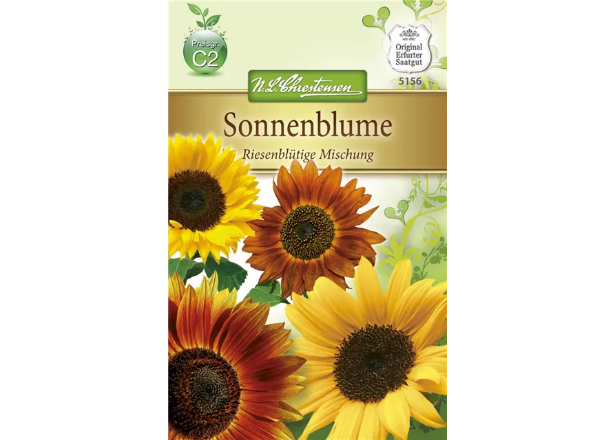 Sonnenblumensamen 'Riesenblumige'