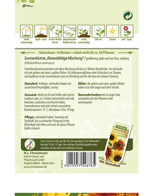 Sonnenblumensamen 'Riesenblumige'