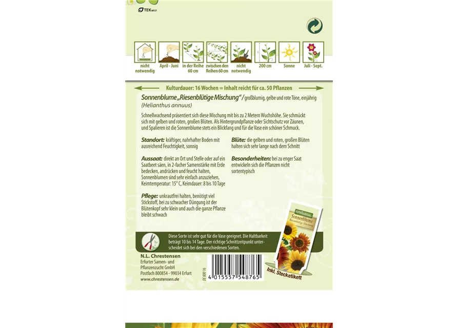 Sonnenblumensamen 'Riesenblumige'