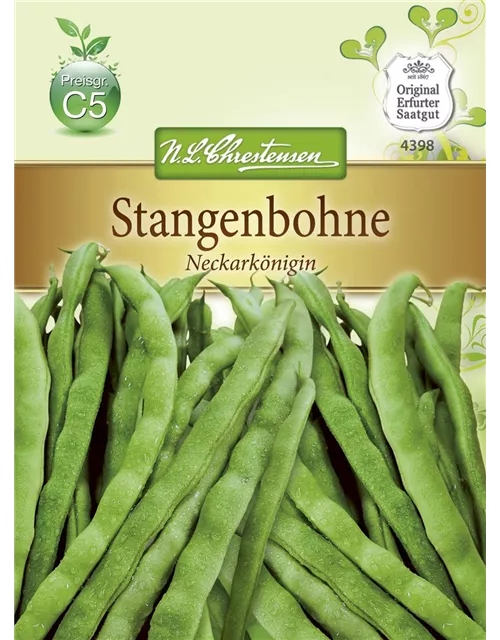 Stangenbohnennsamen 'Neckarkönigin'