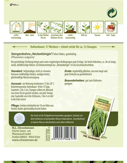 Stangenbohnennsamen 'Neckarkönigin'