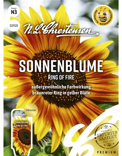 Sonnenblumensamen 'Ring of Fire'