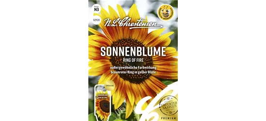 Sonnenblumensamen 'Ring of Fire'