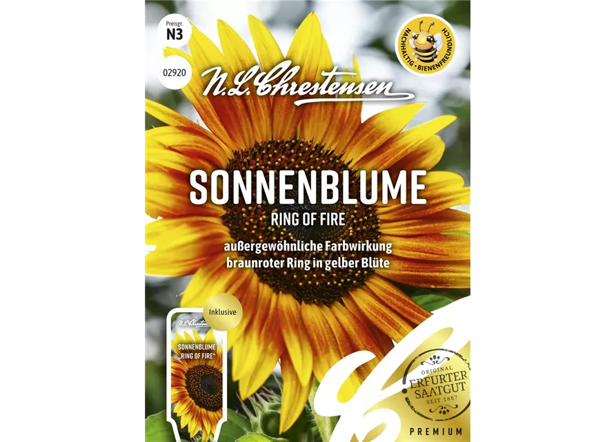 Sonnenblumensamen 'Ring of Fire'
