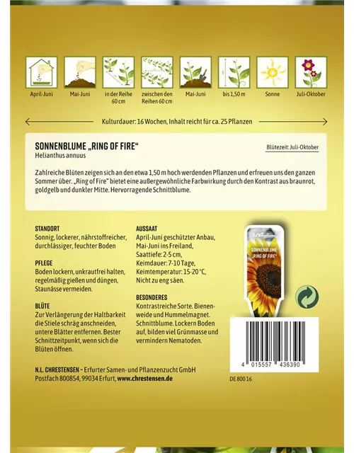 Sonnenblumensamen 'Ring of Fire'