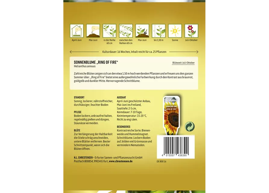 Sonnenblumensamen 'Ring of Fire'