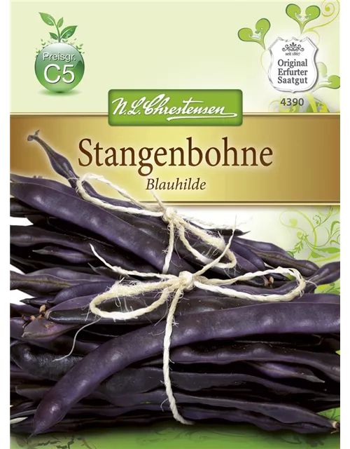 Stangenbohnensamen 'Blauhilde'